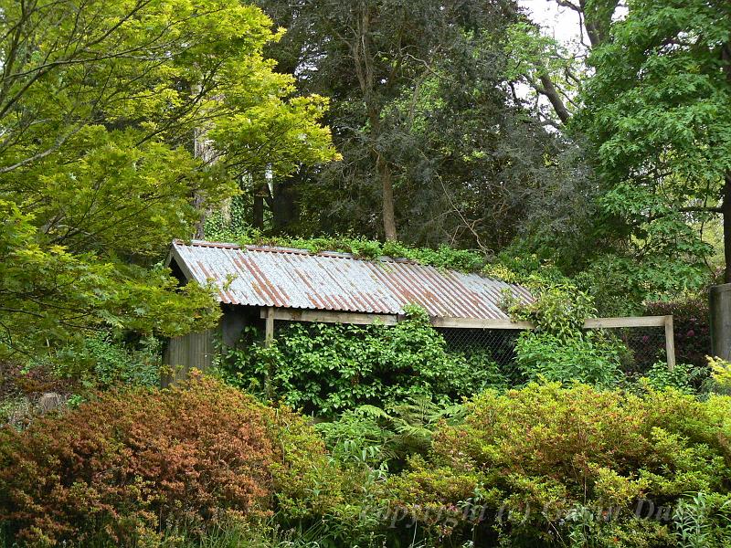 Shed, Tindale Gardens P1040917.JPG